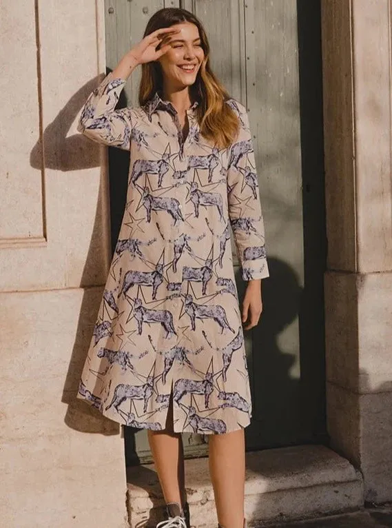 Leopard Star Blue Tunic Dress